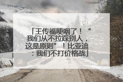 王传福哽咽了！“我们从不拉踩别人，这是原则”！比亚迪：我们不打价格战