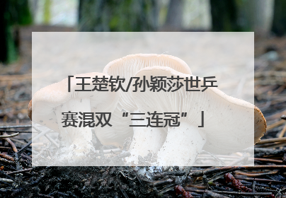 王楚钦/孙颖莎世乒赛混双“三连冠”