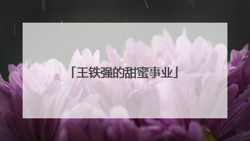 王铁强的甜蜜事业