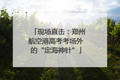 现场直击：郑州航空港高考考场外的“定海神针”
