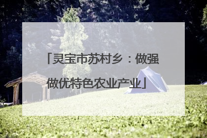 灵宝市苏村乡：做强做优特色农业产业