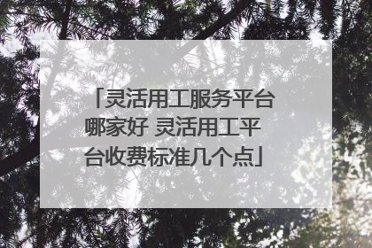 灵活用工服务平台哪家好 灵活用工平台收费标准几个点