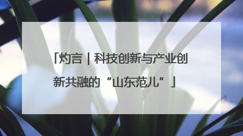 灼言｜科技创新与产业创新共融的“山东范儿”