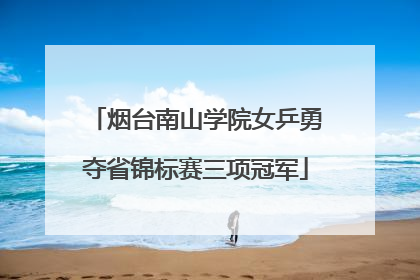 烟台南山学院女乒勇夺省锦标赛三项冠军