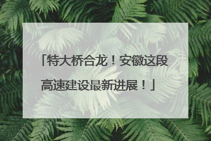 特大桥合龙！安徽这段高速建设最新进展！