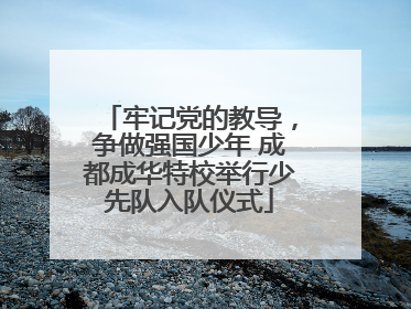 牢记党的教导，争做强国少年 成都成华特校举行少先队入队仪式