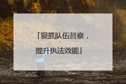 狠抓队伍督察，提升执法效能