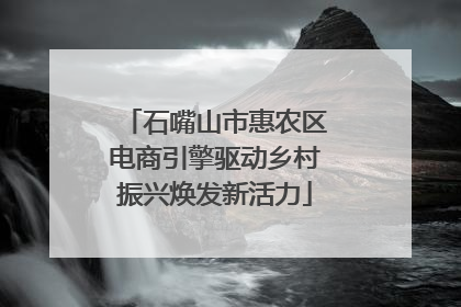 石嘴山市惠农区电商引擎驱动乡村振兴焕发新活力