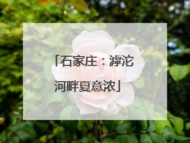 石家庄：滹沱河畔夏意浓