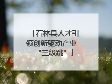 石林县人才引领创新驱动产业“三级跳”