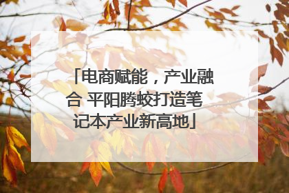 电商赋能，产业融合 平阳腾蛟打造笔记本产业新高地