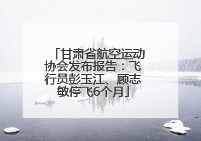 甘肃省航空运动协会发布报告：飞行员彭玉江、顾志敏停飞6个月