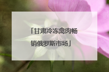 甘肃冷冻禽肉畅销俄罗斯市场