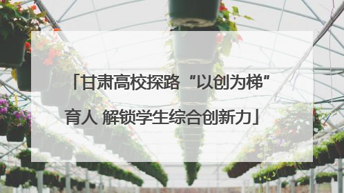 甘肃高校探路“以创为梯”育人 解锁学生综合创新力
