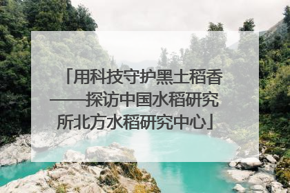 用科技守护黑土稻香——探访中国水稻研究所北方水稻研究中心