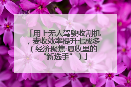 用上无人驾驶收割机，麦收效率提升七成多（经济聚焦·夏收里的“新选手”）