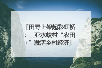 田野上架起彩虹桥：三亚水蛟村“农田+”激活乡村经济