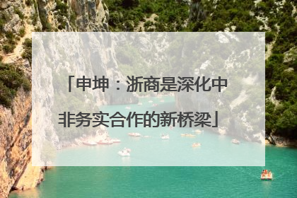 申坤：浙商是深化中非务实合作的新桥梁