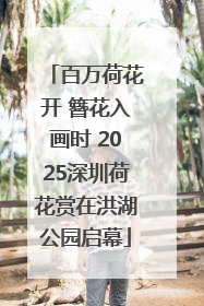 百万荷花开 簪花入画时 2025深圳荷花赏在洪湖公园启幕