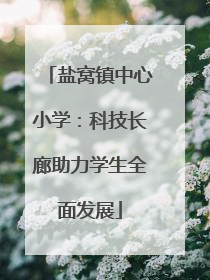 盐窝镇中心小学：科技长廊助力学生全面发展