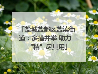 盐城盐都区盐渎街道：多措并举 助力“秸”尽其用