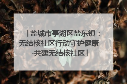 盐城市亭湖区盐东镇：无结核社区行动守护健康 ·共建无结核社区