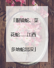 眼镜蛇、菜花蛇……江西多地蛇出没