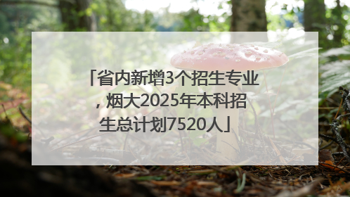 省内新增3个招生专业，烟大2025年本科招生总计划7520人
