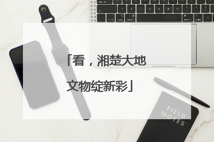 看，湘楚大地文物绽新彩