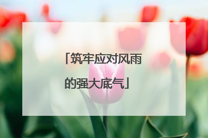 筑牢应对风雨的强大底气