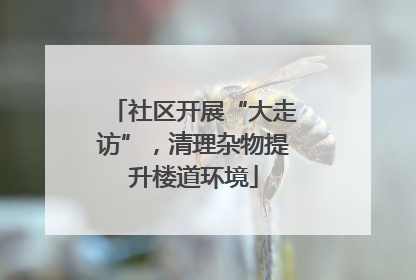 社区开展“大走访”，清理杂物提升楼道环境