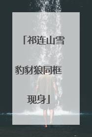 祁连山雪豹豺狼同框现身