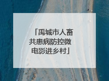 禹城市人畜共患病防控微电影进乡村