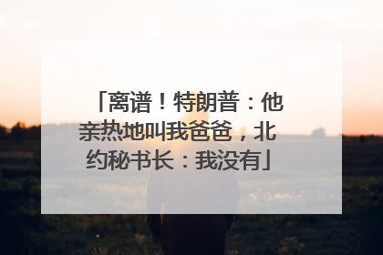 离谱！特朗普：他亲热地叫我爸爸，北约秘书长：我没有
