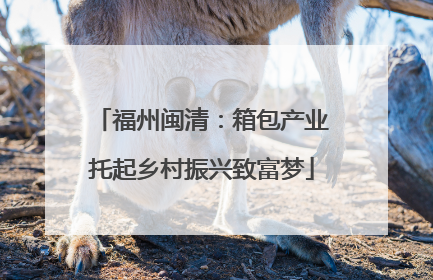 福州闽清：箱包产业托起乡村振兴致富梦