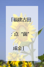 福建古田：点“菌”成金