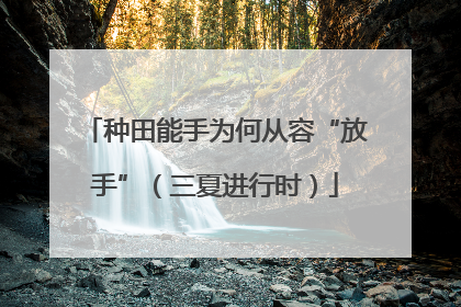 种田能手为何从容“放手”（三夏进行时）
