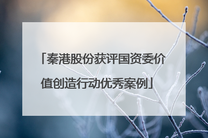 秦港股份获评国资委价值创造行动优秀案例