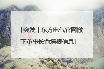 突发｜东方电气官网撤下董事长俞培根信息