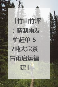竹山竹坪：晴制雨发忙赶单 57吨大宗茶冒雨启运福建