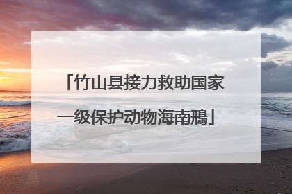 竹山县接力救助国家一级保护动物海南鳽
