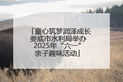 童心筑梦润泽成长 娄底市水利局举办2025年“六一”亲子趣味活动