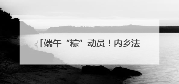 端午“粽”动员！内乡法院干警的甜蜜“食”光