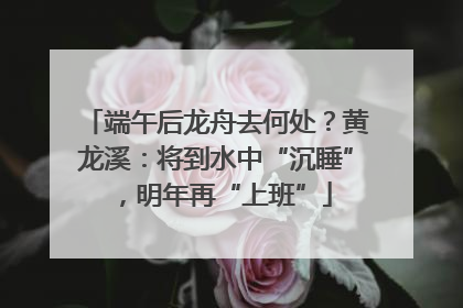 端午后龙舟去何处？黄龙溪：将到水中“沉睡”，明年再“上班”