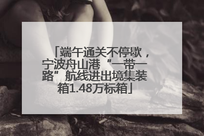 端午通关不停歇，宁波舟山港“一带一路”航线进出境集装箱1.48万标箱
