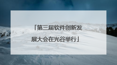 第三届软件创新发展大会在光谷举行