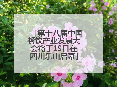 第十八届中国餐饮产业发展大会将于19日在四川乐山启幕