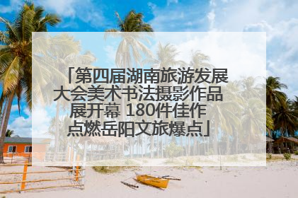 第四届湖南旅游发展大会美术书法摄影作品展开幕 180件佳作点燃岳阳文旅爆点