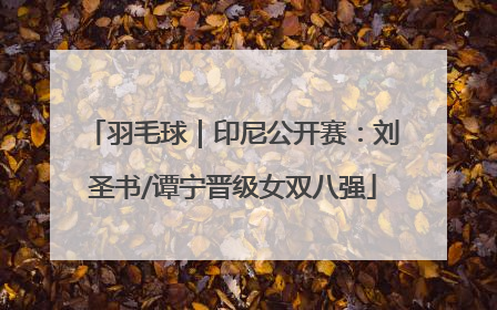 羽毛球｜印尼公开赛：刘圣书/谭宁晋级女双八强