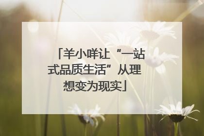 羊小咩让“一站式品质生活”从理想变为现实